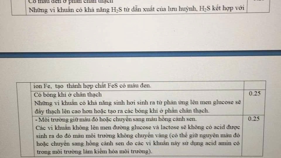 Đánh máy giúp nhập văn bản nhanh, chính xác, nâng cao hiệu quả học tập và làm việc hàng ngày.