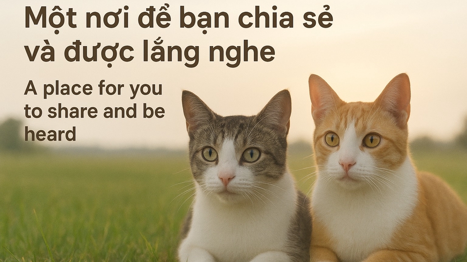 Các dịch vụ Tư vấn khác - Thuê freelancer Tư vấn - Lắng nghe cùng Minmeo