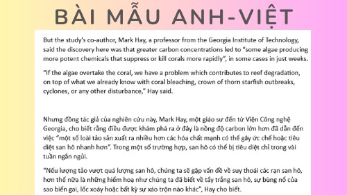 Bài mẫu dịch Anh Việt - Sample translation