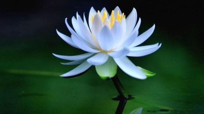 Nơi tĩnh lặng, luôn luôn lắng nghe và không phán xét