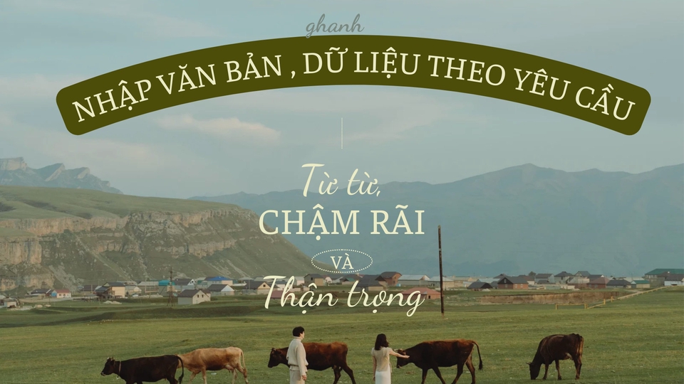 nhập đánh máy dữ liệu , văn bản , số , chữ, theo yêu cầu