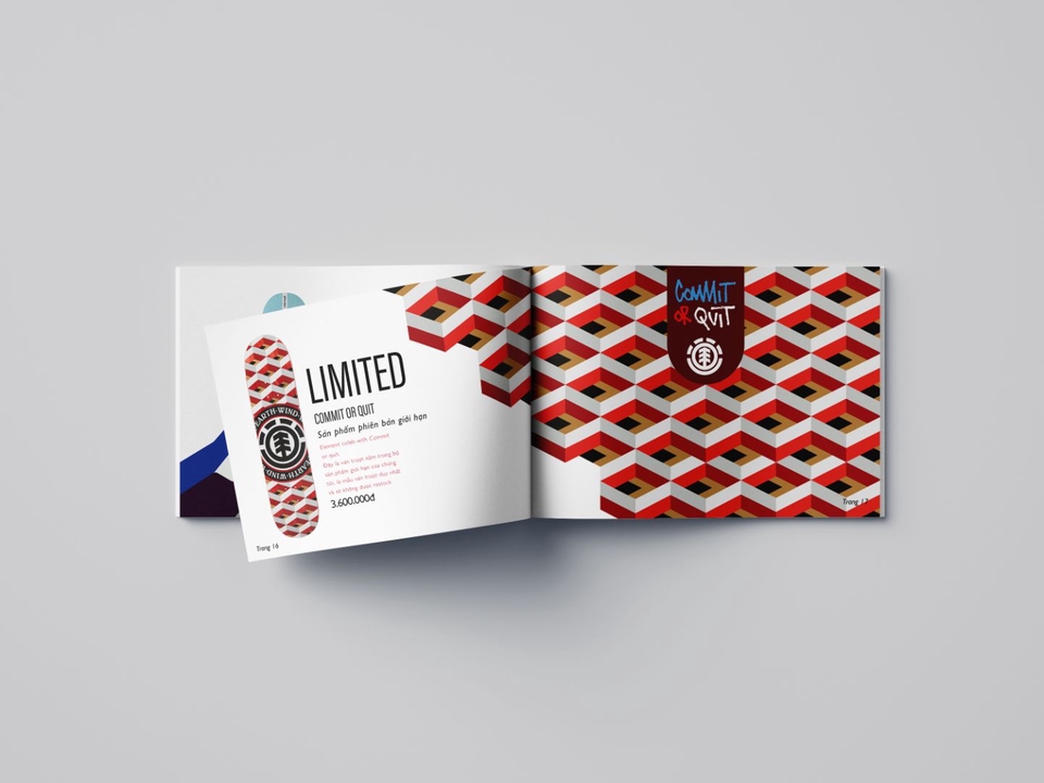 Thiết kế ấn phẩm - Thiết kế Catalogue chỉ từ 150k - 350k - 500k/ 1 trang - 9