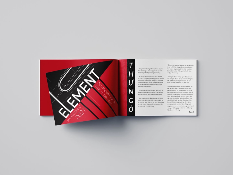 Thiết kế ấn phẩm - Thiết kế Catalogue chỉ từ 150k - 350k - 500k/ 1 trang - 14