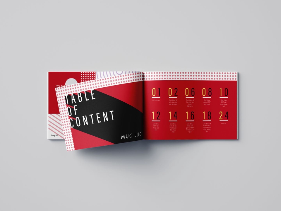 Thiết kế ấn phẩm - Thiết kế Catalogue chỉ từ 150k - 350k - 500k/ 1 trang - 13