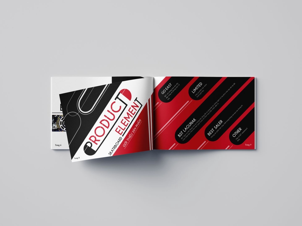Thiết kế ấn phẩm - Thiết kế Catalogue chỉ từ 150k - 350k - 500k/ 1 trang - 5