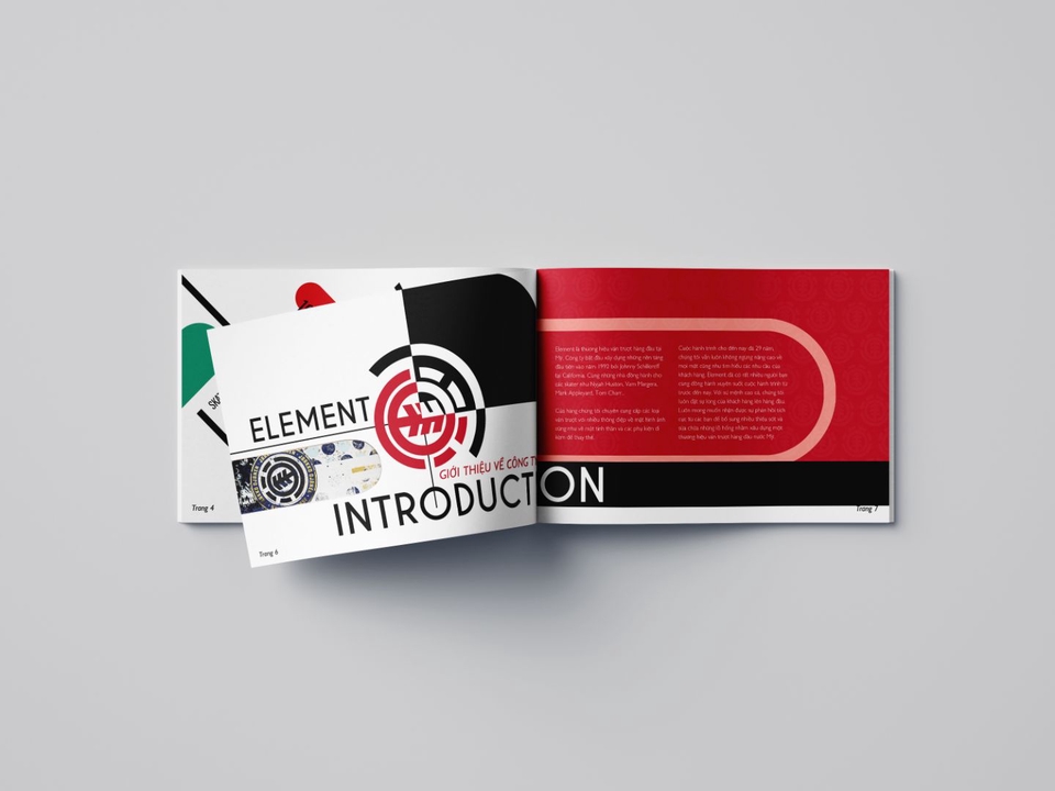 Thiết kế ấn phẩm - Thiết kế Catalogue chỉ từ 150k - 350k - 500k/ 1 trang - 4
