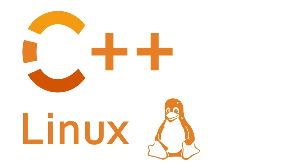 C++ developer