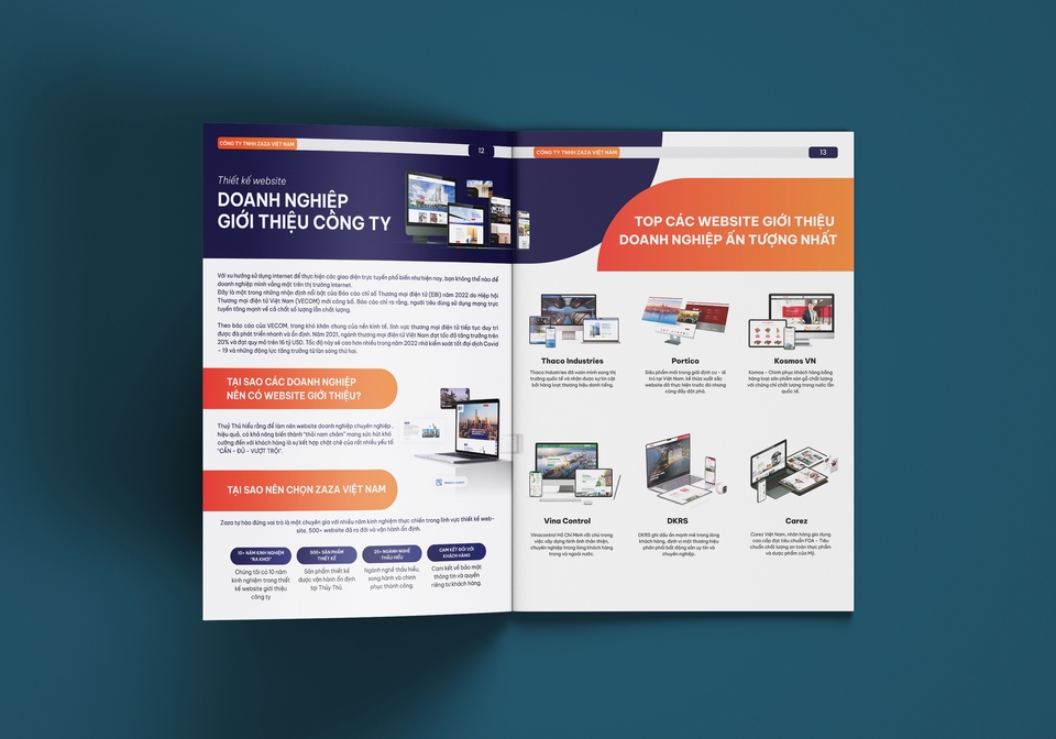 Thiết kế portfolio - Thiết kế hồ sơ năng lực công ty TNHH Zaza Việt Nam - 4