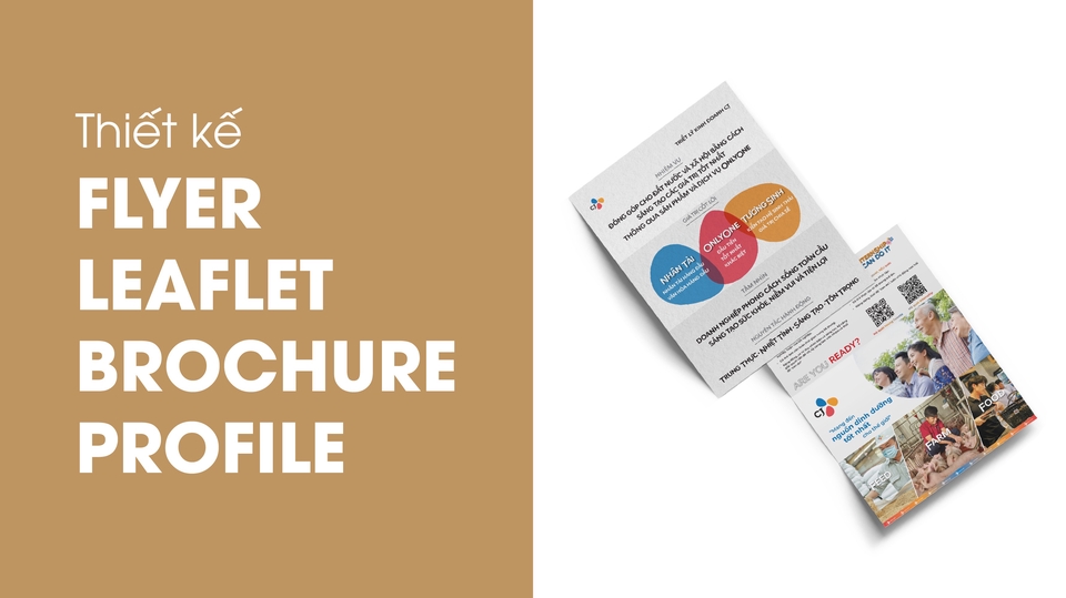 Thiết kế Flyer, Leaflet, Brochure, Profile