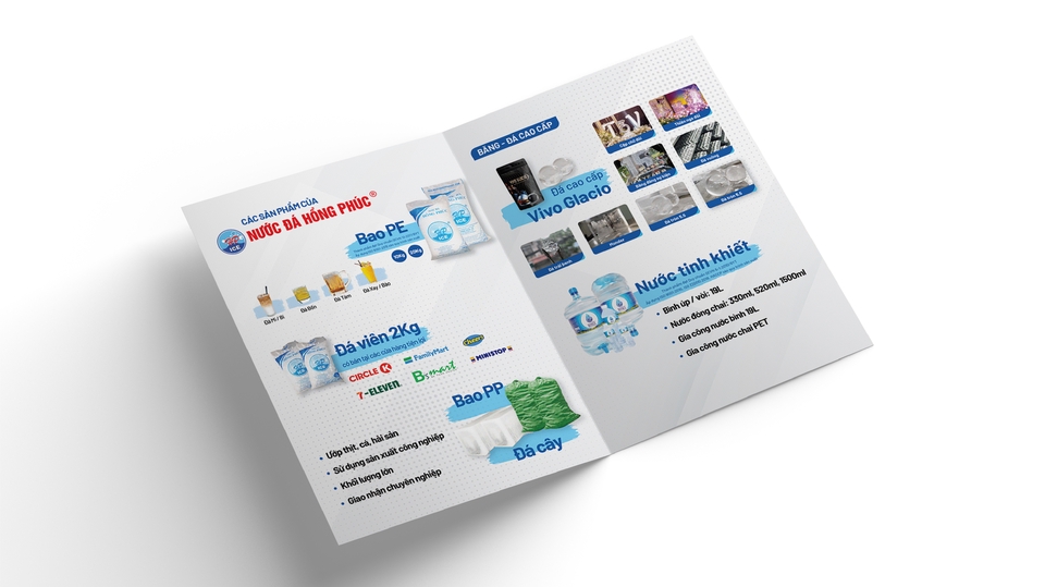 Thiết kế ấn phẩm - Thiết kế Flyer/Brochure - 2