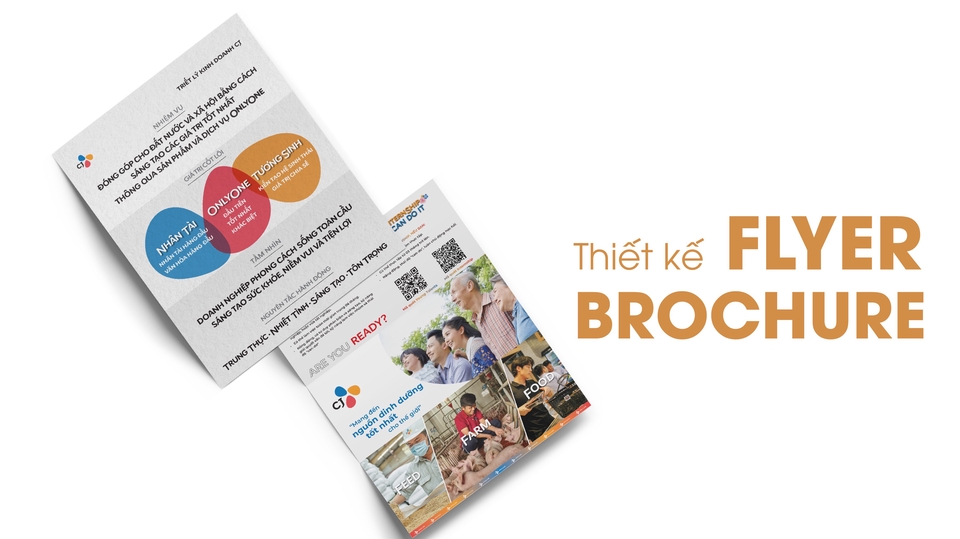 Thiết kế flyer, brochure