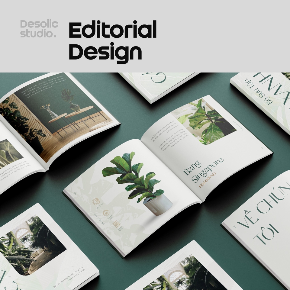 mau bia sach @ThuTrangDao