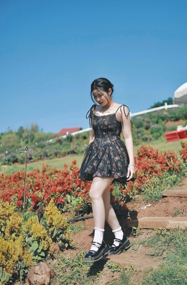 Nhiếp ảnh (Photographer) - Nhiếp ảnh  - 13