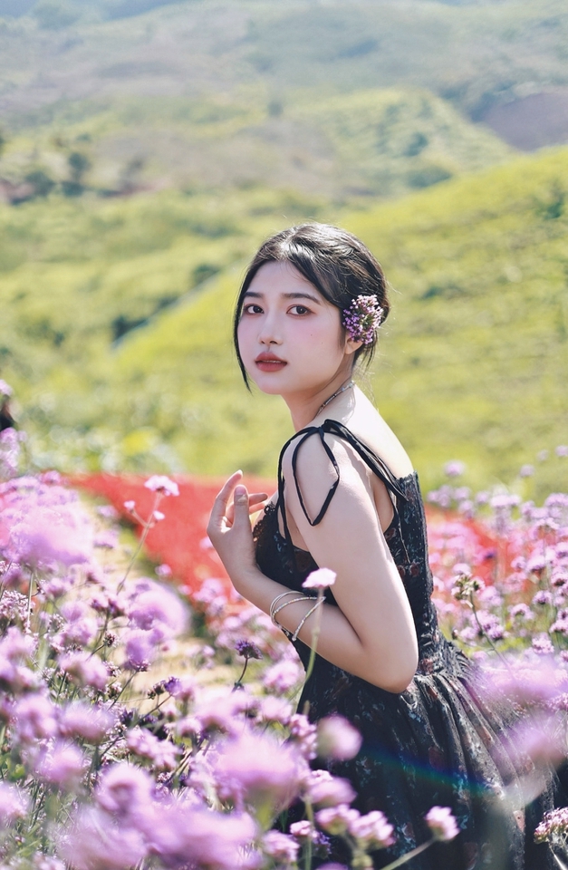 Nhiếp ảnh (Photographer) - Nhiếp ảnh  - 12