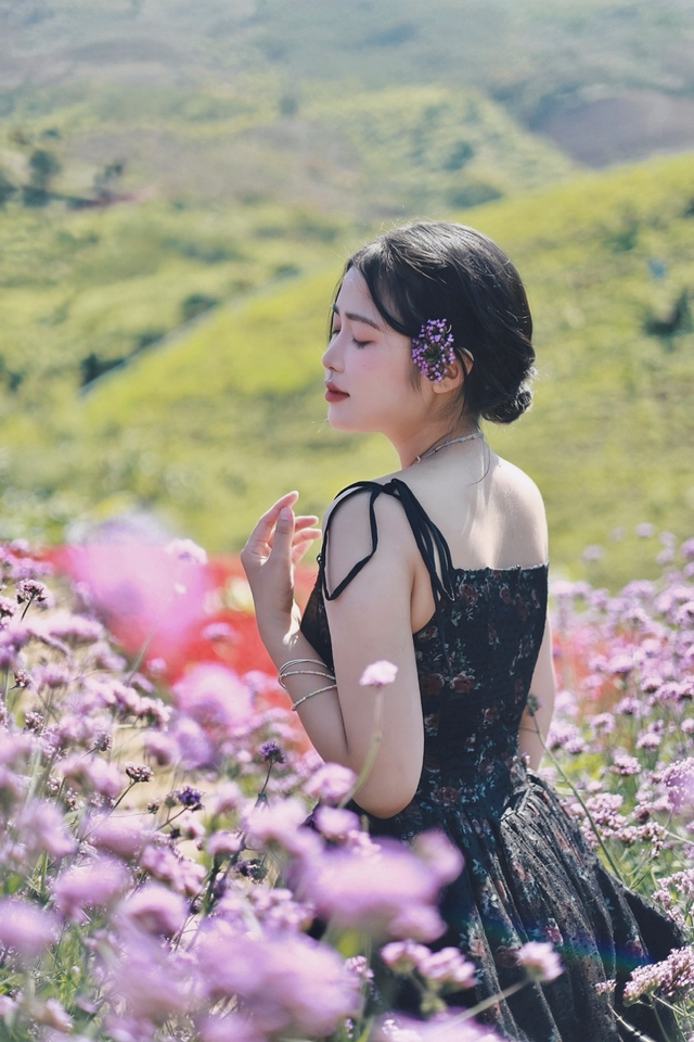 Nhiếp ảnh (Photographer) - Nhiếp ảnh  - 8