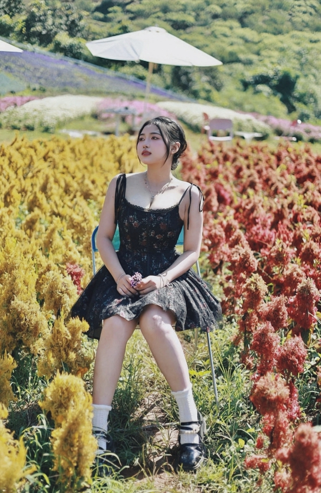 Nhiếp ảnh (Photographer) - Nhiếp ảnh  - 9