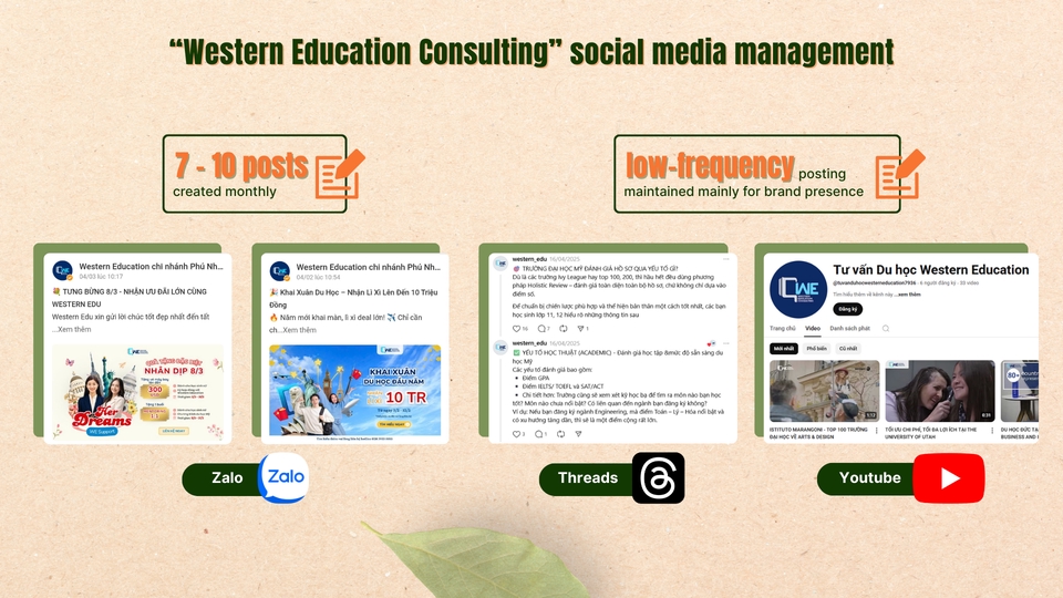 Marketing - Social Media Management - 12