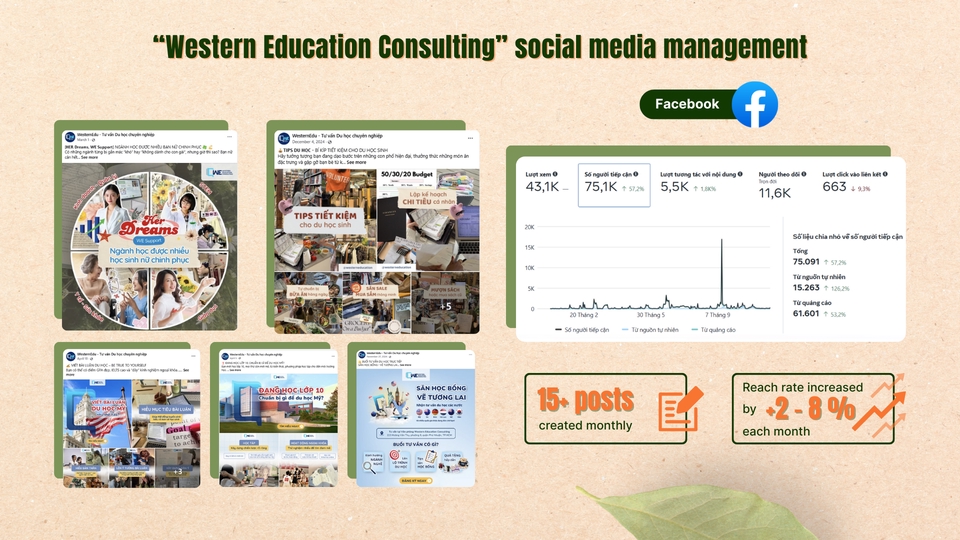 Marketing - Social Media Management - 11