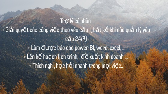 Dịch vụ Thư ký - Thuê freelancer Thư ký - Trợ lý kinh doanh - thư ký