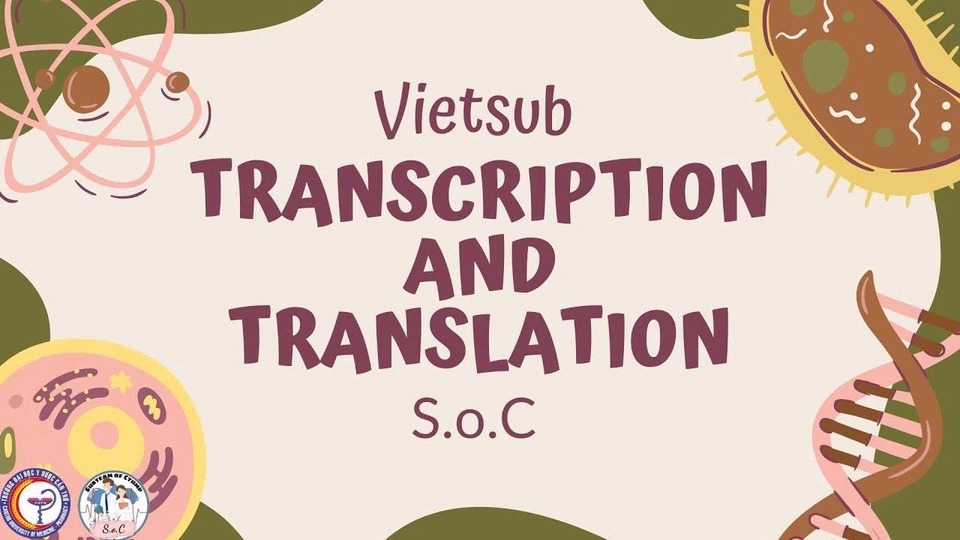 Dịch vụ Dịch phụ đề - Làm phụ đề - Thuê freelancer Dịch phụ đề - Làm phụ đề - Biên tập Vietsub – Transcription & Translation. Vietsub - Thuyết minh cho video