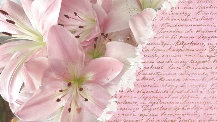 Làm slide thuyết trình bài giảng bằng canva