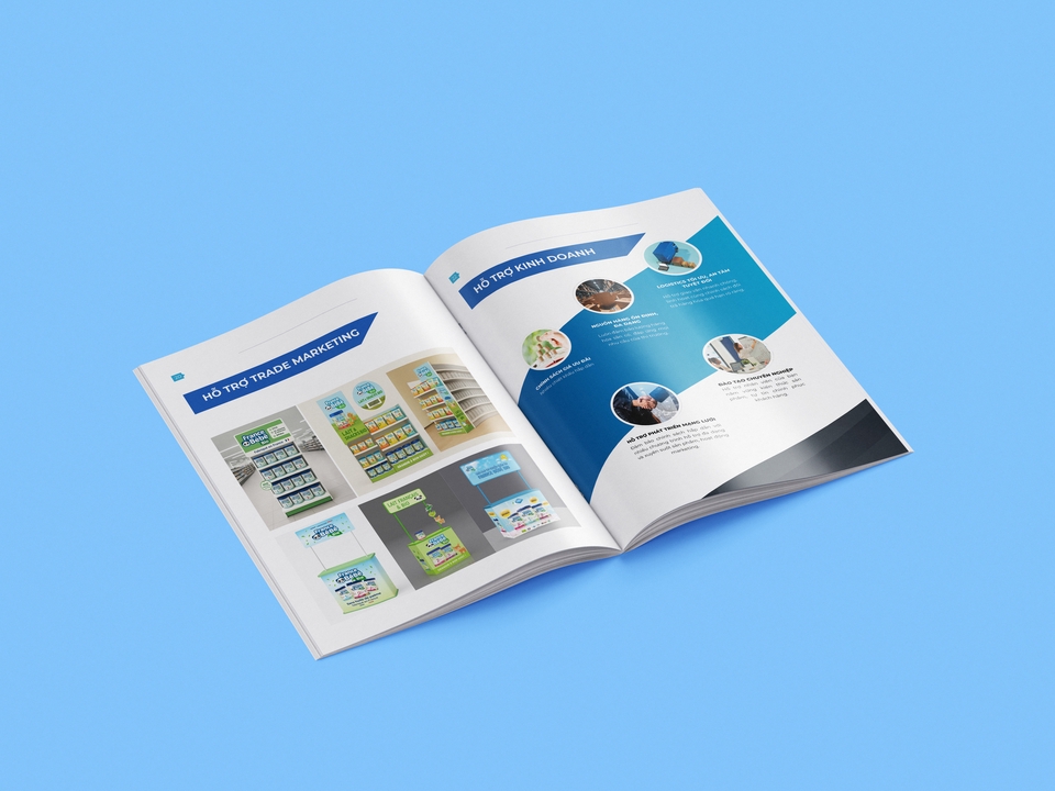 Thiết kế portfolio - Thiết kế hồ sơ năng lực công ty TSK Global - 6