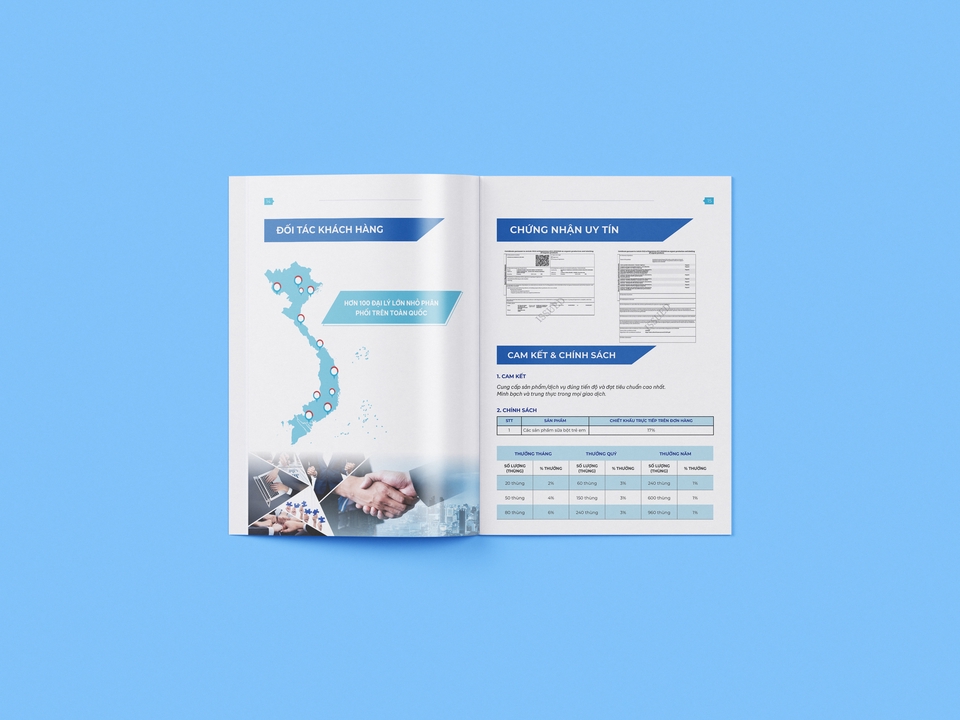 Thiết kế portfolio - Thiết kế hồ sơ năng lực công ty TSK Global - 4