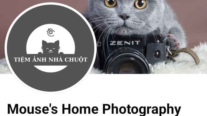 Chụp ảnh và design ảnh theo yêu cầu