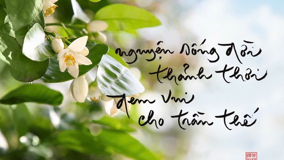 Dịch vụ Viết content - Thuê freelancer Viết content - các bài viết nghiên cứu về văn học