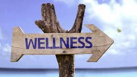 Dịch vụ Tổ chức sự kiện - Thuê freelancer Tổ chức sự kiện - Xây dựng kế hoạch wellbeing & healthcheck