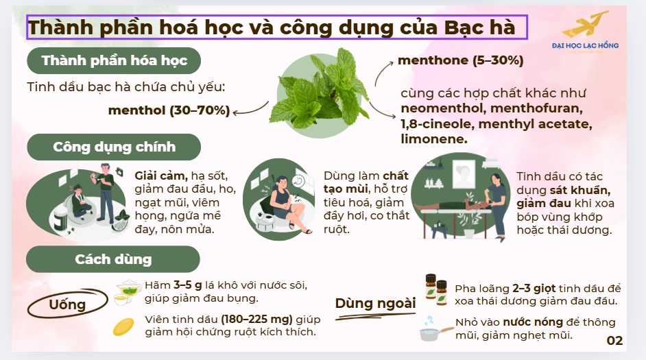 Presentation - Thiết kế PowerPoint, Poster, Canva | Chạy SPSS, SmartPLS, AMOS, Stata, JASP, R Studio - 3