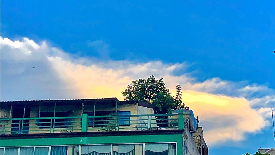 Dịch vụ Thiết kế logo công ty - Thuê freelancer Thiết kế logo công ty - chụp ảnh, viết bài