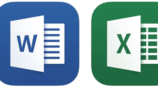 word excel