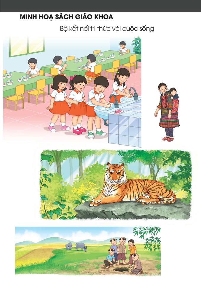 Vẽ minh họa - Vẽ minh hoạ sách giáo dục - 2