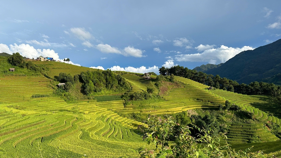 Dịch vụ Lập kế hoạch du lịch - Thuê freelancer Lập kế hoạch du lịch - LẬP KẾ HOẠCH DU LỊCH