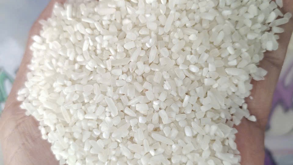 Tư vấn kinh doanh - gạo việt