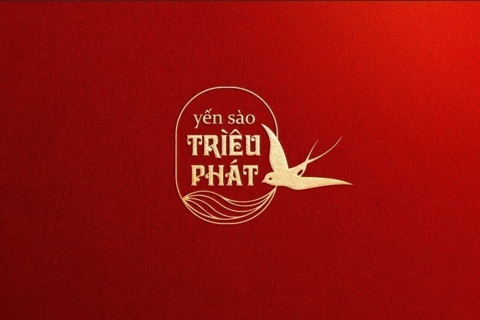 Thiết kế logo - GLOGO - Thiết kế Logo - 2