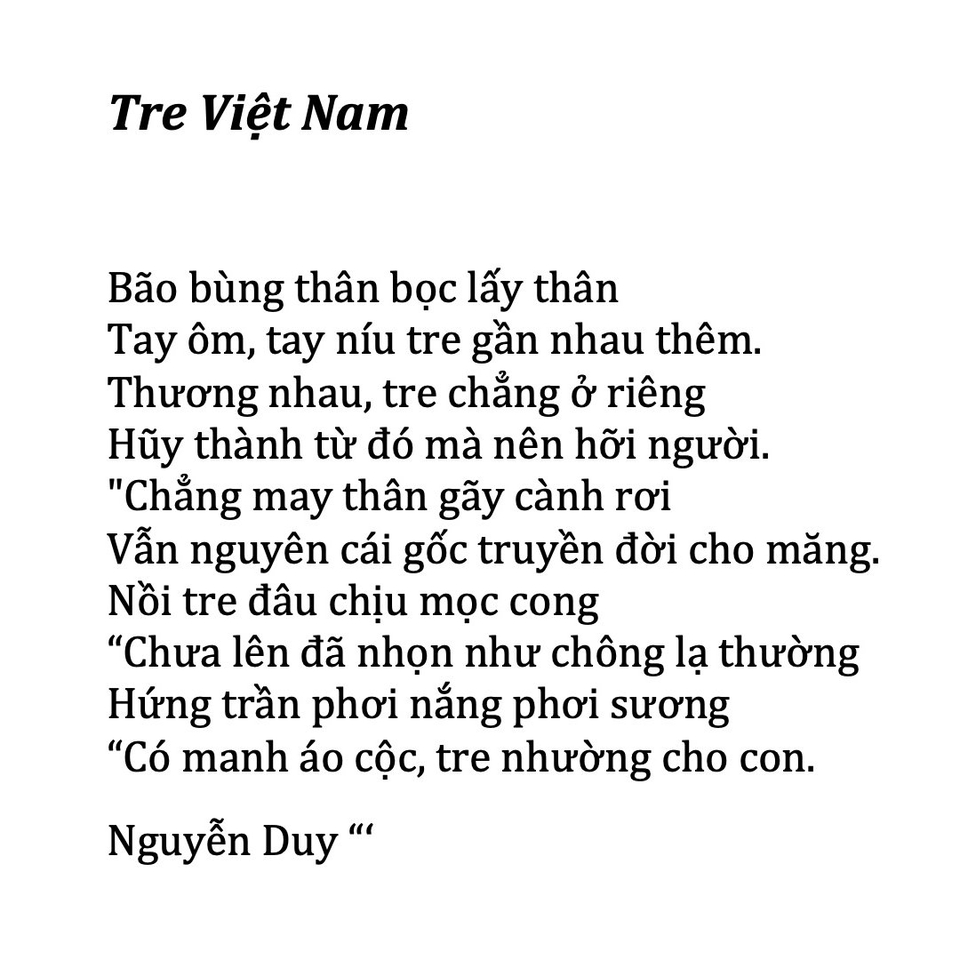 Đánh máy và nhập liệu - Đánh máy & chỉnh sửa thông tin theo yêu cầu - 3