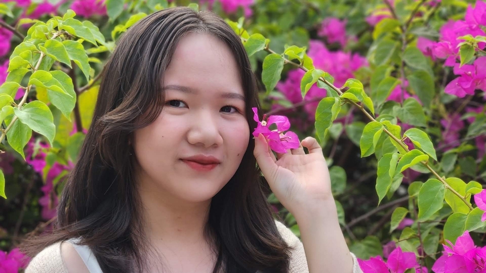 Dịch vụ Kế toán - Thuê freelancer Kế toán - Nhập liệu, hạch toán kế toán, dịch vụ kế toán cho hộ kinh doanh