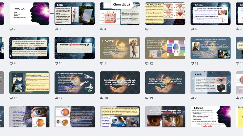 Slide thuyết trình về Da