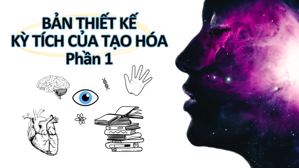 Thiết kế slide cho chị khách làm báo cáo về nghiên cứu da người