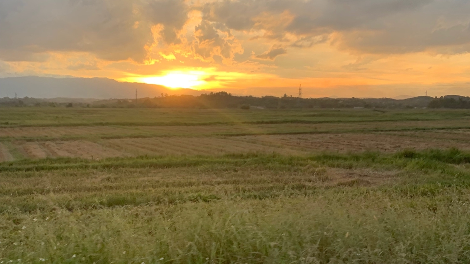 Dịch Thuật ngôn ngữ Trung(ngược lại)