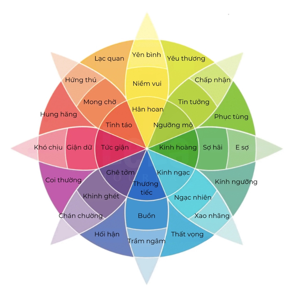 Các lĩnh vực khác trong danh mục Tư vấn - Tư vấn: Thân - Tâm - Trí - 3