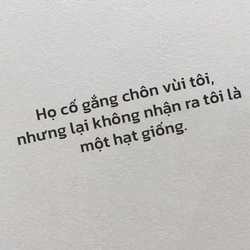 ngocmy