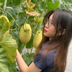 Bao Nga