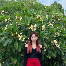 Sherlyn