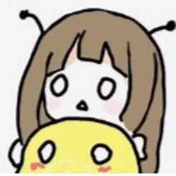 N Y