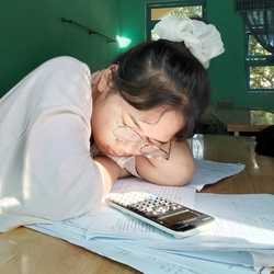 lazycat.thuy