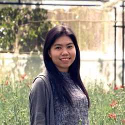 TrinhNguyen