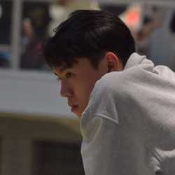 Vu Lam